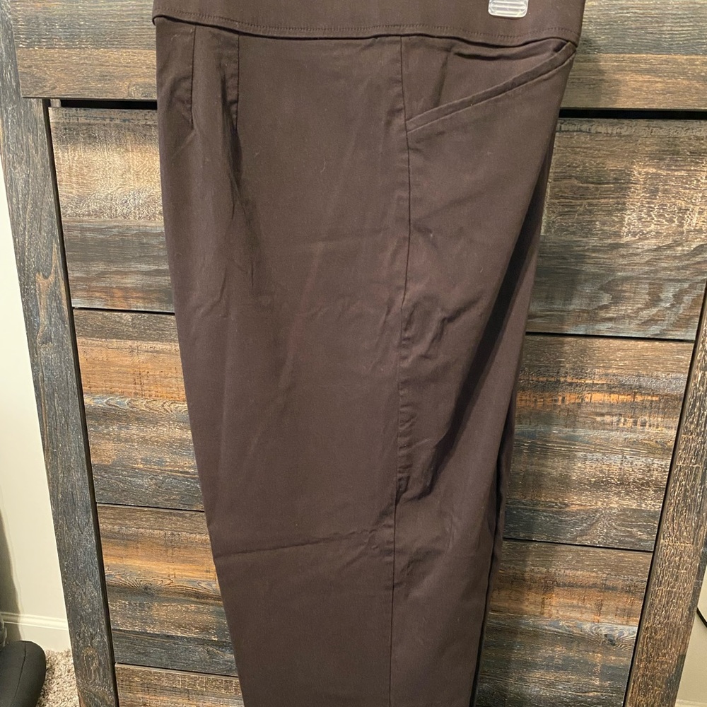 Brown Zipper Front Pants